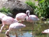 100_6070.jpg